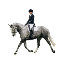 Lambskin dressage square