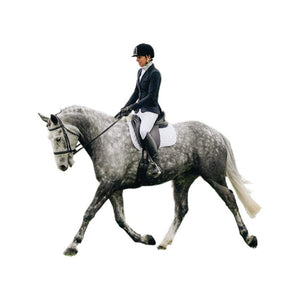 Lambskin dressage square